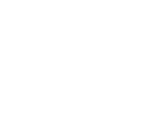 logo white digital aerolus